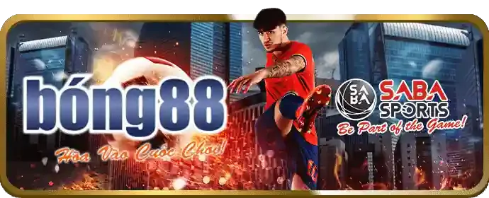 Đấu trường đá gà Thomo sôi động tại DO666